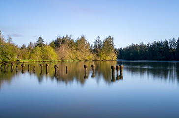 Obraz premium Mud Bay Morning