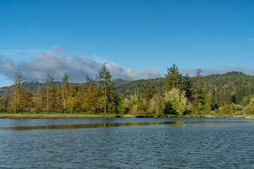 Mud Bay Morning