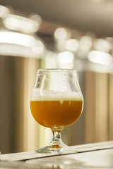 Glass of wheat beer at a brewery