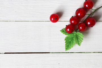 red currant berry background