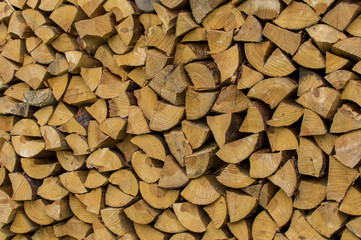 Cut pieces of wood