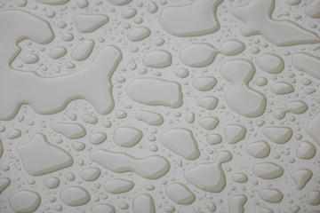 Water drops on white  blackground .
