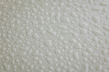 Water drops on white  blackground .