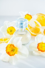 Orbicular perfume bottle surrounded by fresh Daffodils flowers and lemon slices isolated on white background. Yellow colour concept