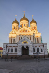 Fototapeta premium Tallinn - Old City