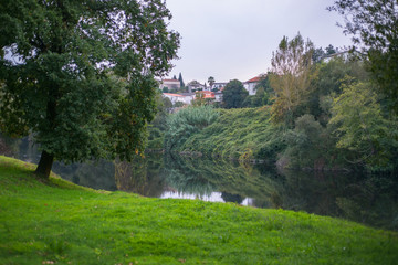River water reflection green grass meadow tree village town landscape