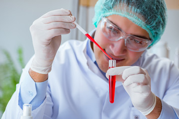 Young doctor working on blood test in lab hospital