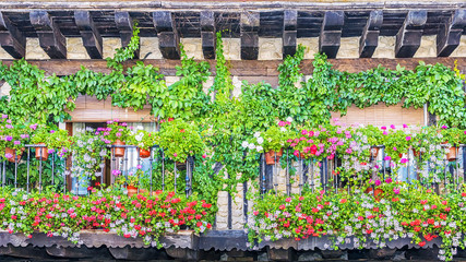 Fototapeta na wymiar old balcony decorated with flowers