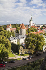 Fototapeta na wymiar Tallinn - Old City 