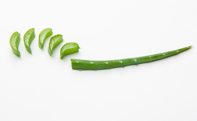 Slice Aloe Vera on white background