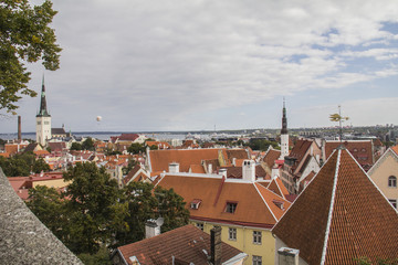 Obraz premium Tallinn - Old City 