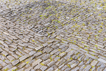 Pavement of wild stone