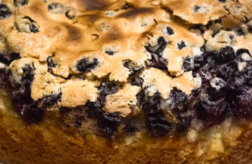 sponge cake with black currants