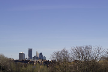 Fototapeta na wymiar Skyline of London from Burgess Park