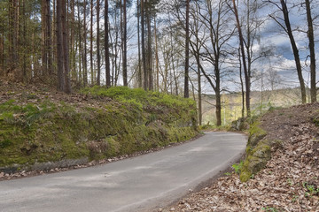 asphalt way leading to village Karba in Machuv kraj during sping in czech landscape