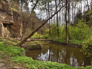 Robersky potok creek in spring Peklo valley of czech tourist area Machuv kraj