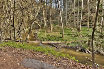 meander of Robersky potok creek in spring Peklo valley of czech tourist area Machuv kraj