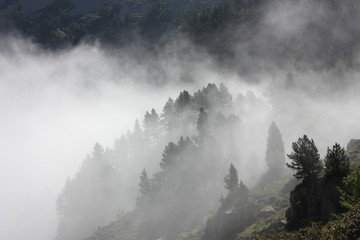 Brouillard dans les Pyrénées ariégeoises, Donezan, Occitanie dans le sud de la France