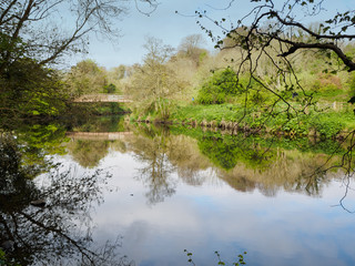 Spring countryside,Northern Ireland