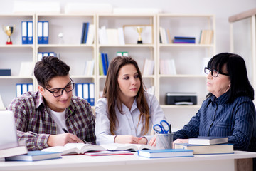 Young student and teacher during tutoring lesson