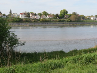 Fototapeta na wymiar Loiret - Saint-Jean-le-Blanc - Orléans - Ile Charlemagne - Étang