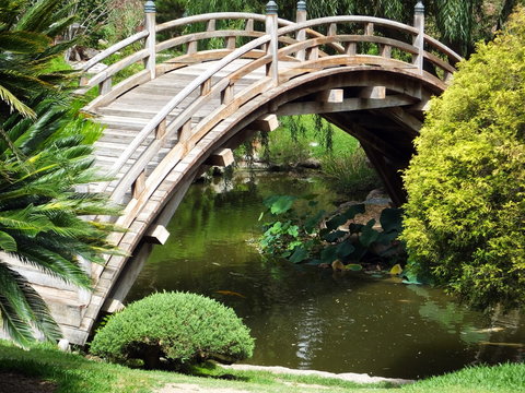 Arched wooden bridge over pond