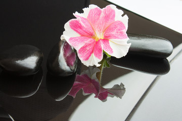 Spa with black stones
