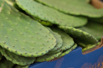 Cactus leafs at a market