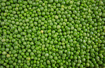 Fototapeta na wymiar Fresh green peas background