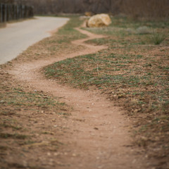 winding path by road