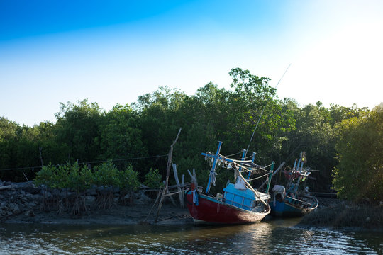 wood fishing boat anchor on beach get ready for trawl. around this place filled nature and mangrove forest background, this image for nature,fishing and boat concept