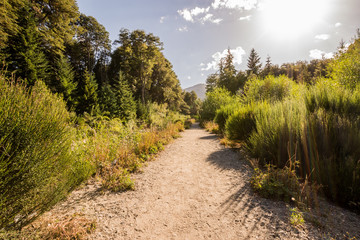Bosque y sendero  en Villa la Angostura