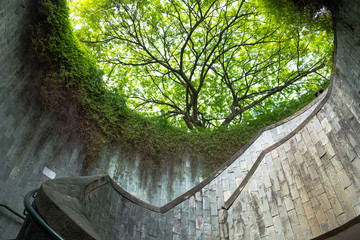 tourist area underground crossing at Fort Canning Park singapore city. this image for nature concept