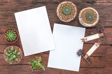 Top view of empty white paper for wedding card with small cactus and succulent plant on a wooden...