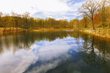 Fototapeta na wymiar Beautiful forest lake.