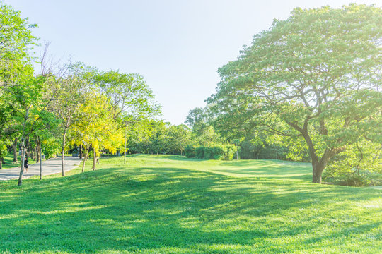 Fototapeta Beautiful Public green park in Autumn at Vachirabenjatas Park (Rot Fai Park) Bangkok, Thailand.