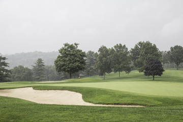 hilly golf course fairway edged by trees