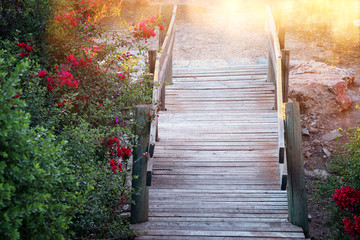 Fototapeta premium image of dreamy old woods stairs in the woods
