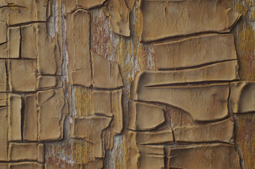 old paint on a wooden surface