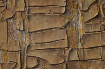 background of aged and weathered textured wooden planks with old paint