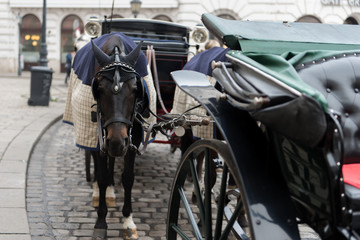 Fototapeta na wymiar Vienna. Austria. Horses with carriages and carts waiting for tourists in the old city streets.