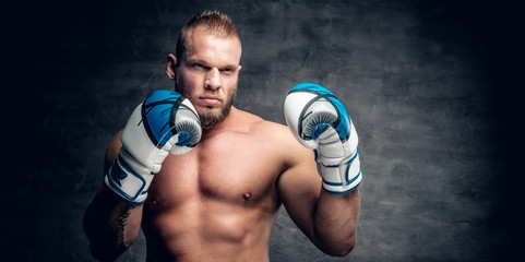 Bearded puncher in a boxer gloves over grey vignette background.