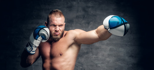 Bearded puncher in a boxer gloves over grey vignette background.