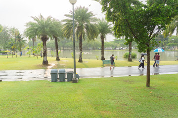 BANGKOK, THAILAND - APRIL 29, 2017 : Chatuchak Park after rain , A large public park  in Bangkok Thailand.