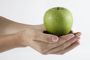 Holding an organic green apple