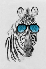 Portrait of zebra drawn by hand in pencil in sunglasses © byrdyak