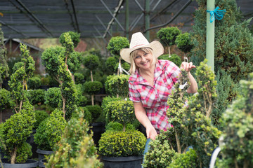 Woman choosing plants at nursery