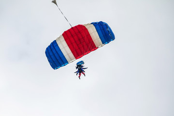Two Parachutists fly to the sky. Two tandems with parachutists in the air.