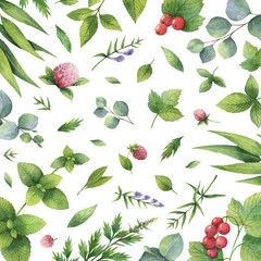 Watercolor hand painted floral card with green herbs and spices.