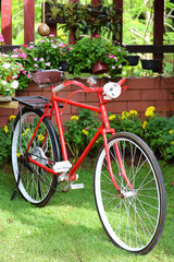 Fototapeta na wymiar Red bicycle in garden